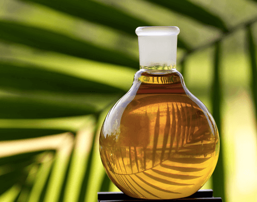 Bottle of Palm Oil, large leaf in background