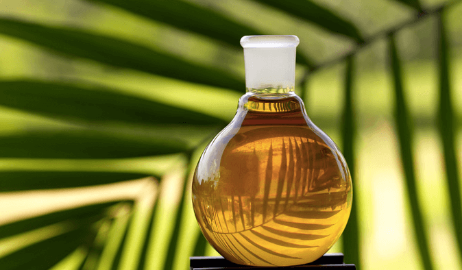 Bottle of Palm Oil, large leaf in background
